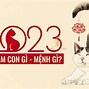 Năm 2023 Là Năm Quý Mão Đúng Không