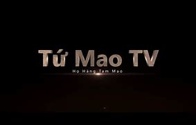 Tam Mao Tv Đang Ở Đâu