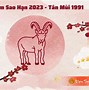 Tuổi Tân Mùi Năm 2023 Nữ Mạng Sao Gì